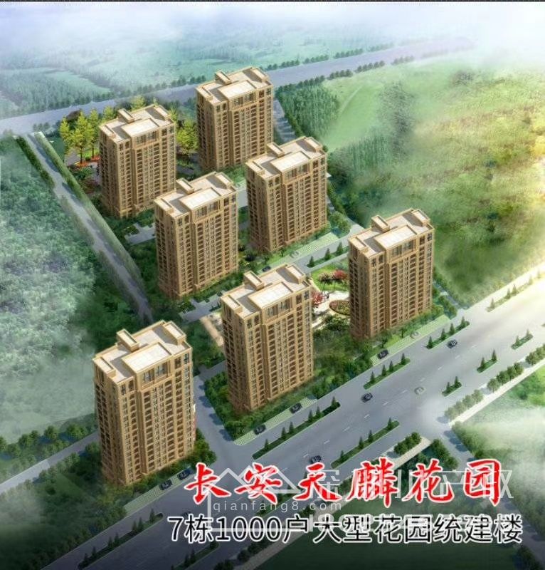 最近深圳沙井的长安小产权——长安7栋大型花园小区《天麟花园》