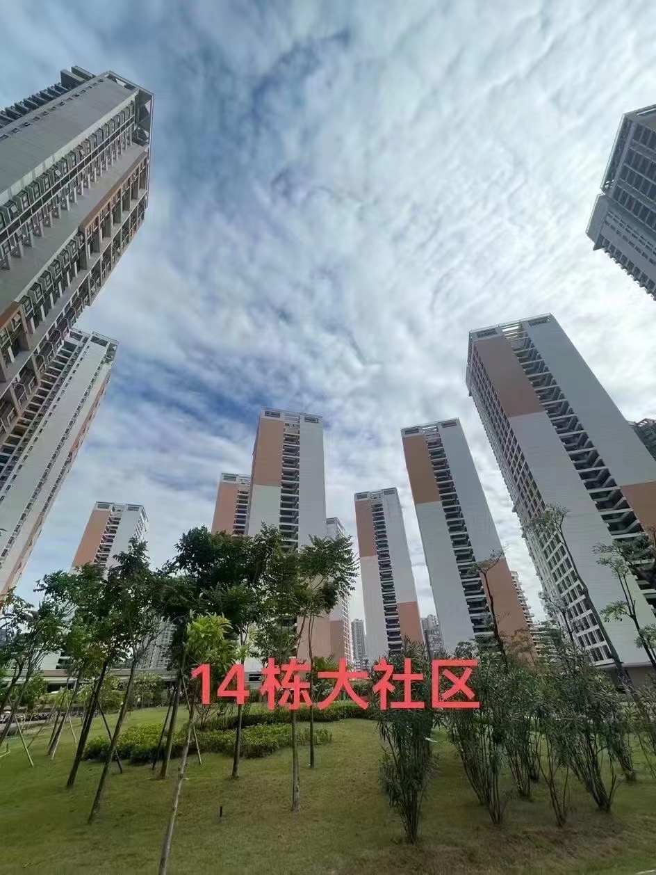 深圳光明区14栋安置房，单价1.5万/平起